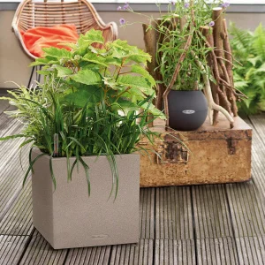 Вазон Lechuza Canto Stone Low 30 світло-бежевий 30x30x30см 12л (13701)