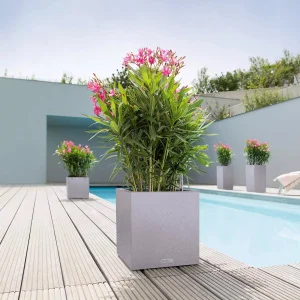 Вазон Lechuza Canto Stone Low 30 світло-бежевий 30x30x30см 12л (13701)