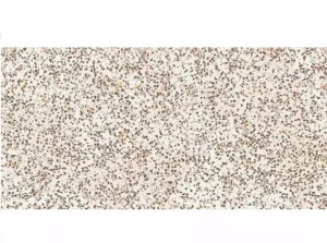 Керамогранит Golden Tile Oasis Concrete Terazzo Айвори 120х60см (OSА910)