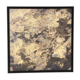 Фото потолочный светильник candellux 10-14559 luxan