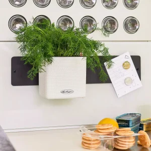 Комплект вазонів Lechuza Green Wall Home Kit Color білий 48х6х14см (13398)