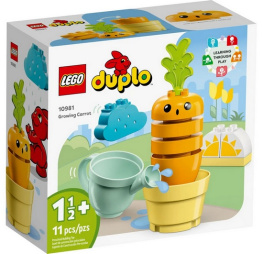  Lego Duplo My First    11  (10981)