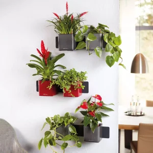 Комплект Lechuza Green Wall Home Kit Glossy червоний 48х6х14см (13525)