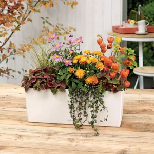 Вазон Lechuza Balconera Color 50 кораловий 50х19х19см 8л (15694)