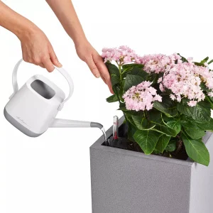 Вазон Lechuza Canto Stone Low 30 світло-бежевий 30x30x30см 12л (13701)