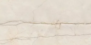 Керамограніт Almera Ceramica Prozzo CRV 3100 60x120см