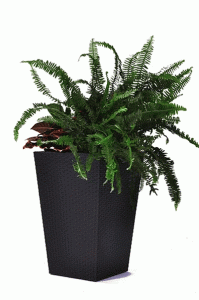 Горщик для квітів Keter Medium Rattan Planter сірий (7290103659288)
