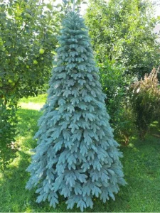 Ялинка Slipo Швейцарська лита 2,3м (Швей-230)