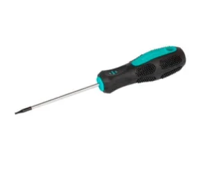 Викрутка MASTERTOOL TORX TT25х100 (49-0251)