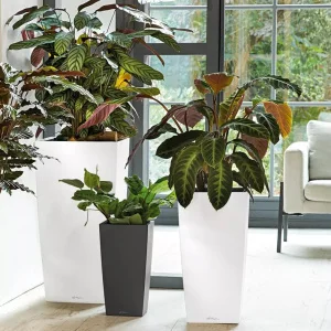 Вазон Lechuza Cubico Premium 30 білий 29,5x29,5x56,5см 14л (18181)
