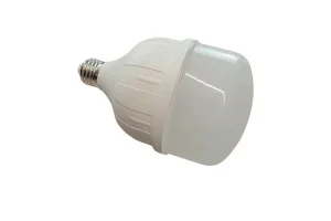 Лампа LED Grunhelm Long-Life R2,0 T100-30W-65K-E27 (149253)