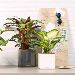 Вазон Lechuza Cube Glossy САТ 14 білий 14x14x13,5см 0,4л (13507)