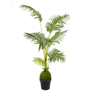 Фото искусственное растение engard areca palm 150см (dw-31)
