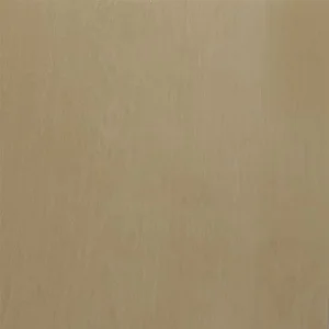 Вагонка пластиковая лакированная Decomax Д02 береза ​​8ммx250ммx6м