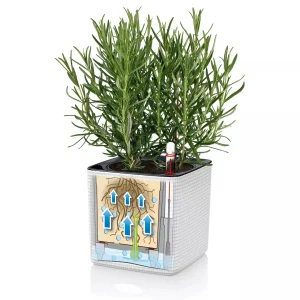 Комплект вазонів Lechuza Green Wall Home Kit Color білий 48х6х14см (13398)