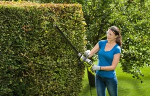 Кущоріз мережевий Ryobi RHT6760RL (5133003647)