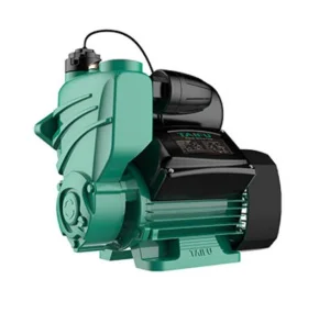 Насосная станция Taifu QB TGP(B)125(I) (TAIFUQBTGP(B)125(I))
