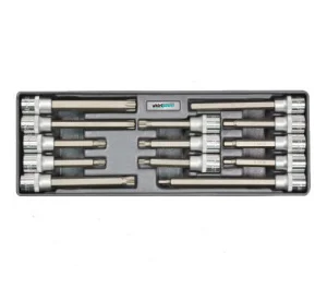 Набір торцевих головок Whirlpower Hex Torx Spline 1/2" 13 предметів (AN-SK52)