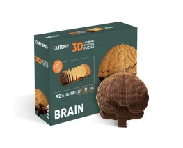 Фото картонный конструктор cartonic 3d puzzle brain (cartbrain)