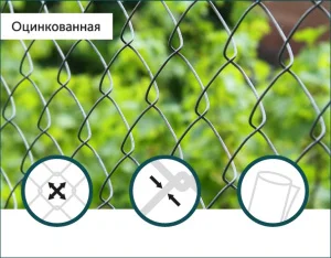 Сітка Рабиця оцинкованаСітка Захід 60х60/2,5мм 1,5м/10м