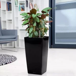 Вазон Lechuza Cubico Premium 30 білий 29,5x29,5x56,5см 14л (18181)