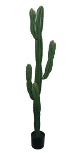 Фото искусственное растение engard cactus 155 см (tw-40)