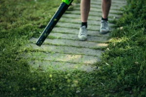 Повітродувка акумуляторна Greenworks G40AB без АКБ і ЗП (2400807)