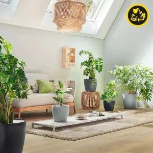 Вазон Lechuza Classico Color Eco 43 круглий світло-сірий 43см 6л (18940)