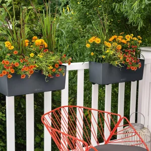 Вазон Lechuza Balconera Color 50 кораловий 50х19х19см 8л (15694)