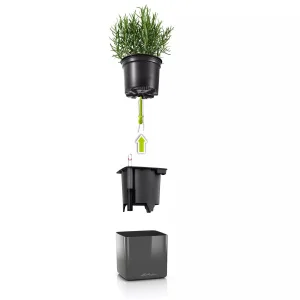 Комплект Lechuza Green Wall Home Kit Glossy червоний 48х6х14см (13525)