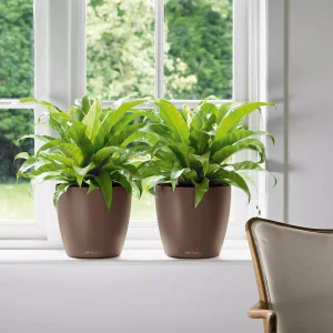 Вазон Lechuza Classico Color 35 мускатний 35x35x33см 17л (13223)