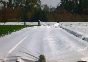 Агроволокно Tenax Opticlima 30г/м2 1,6x10м