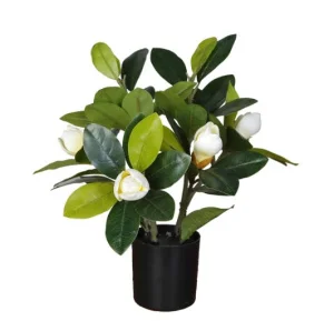 Фото искусственное растение engard magnolia 40см (dw-16)