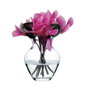 Ваза Pasabahce Botanica 14,4 см (43206)