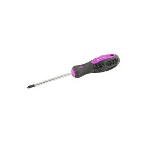 Викрутка хрестова MASTERTOOL РZ2х100 (48-5910)