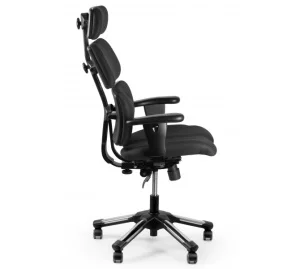 Фото кресло эргономичное barsky hara doctor black bhd-06