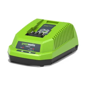 Зарядний пристрій універсальний Greenworks G40C / G40UC (2910907)