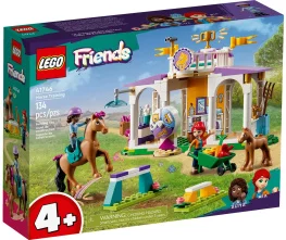 Конструктор Lego Friends Тренировка лошади 134 детали (41746)