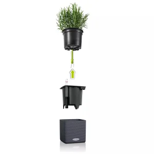 Комплект вазонів Lechuza Green Wall Home Kit Color білий 48х6х14см (13398)