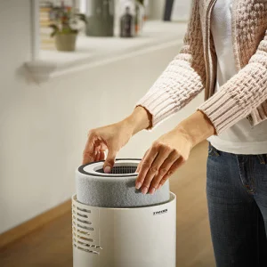 Фото воздухоочиститель soehnle airfresh clean 300 68094