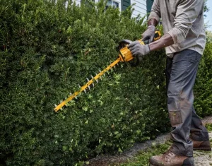 Кущоріз акумуляторний DeWALT DCMHT573N