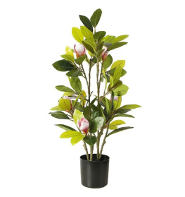    engard magnolia 70 (dw-17)