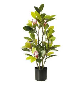 Штучна рослина Engard Magnolia 70см (DW-17)