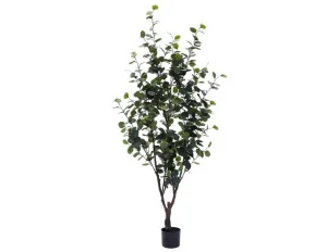 Фото искусственное растение engard eucalyptus 180cм (tw-15)
