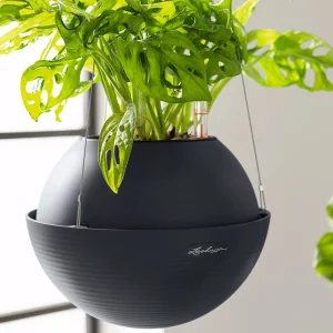 Вазон Lechuza Bola Color 32 білий 32x32x25см 3,1л (16850)
