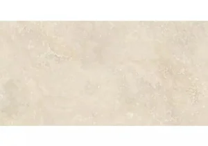 Керамогранит Argenta Ceramica Siena Classico 60х120см