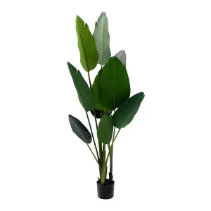 Фото искусственное растение engard banana tree 155см (tw-09)