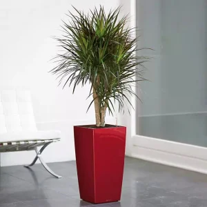 Вазон Lechuza Cubico Premium 30 білий 29,5x29,5x56,5см 14л (18181)