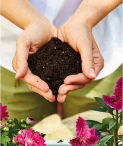 Торфосуміш універсальна Compo 70л (1184)