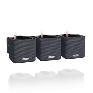 Комплект вазонів Lechuza Green Wall Home Kit Color сірий 48х6х14см (13399)